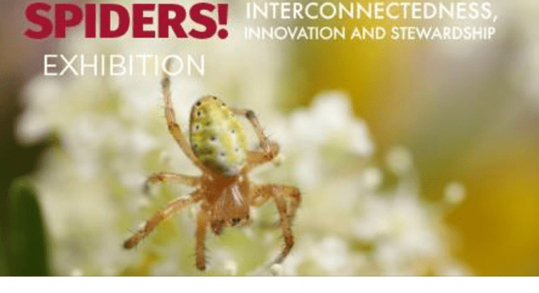 Screen Shot 2017-09-23 at 10.49.30 AM